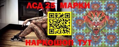 наркотики Кингисепп