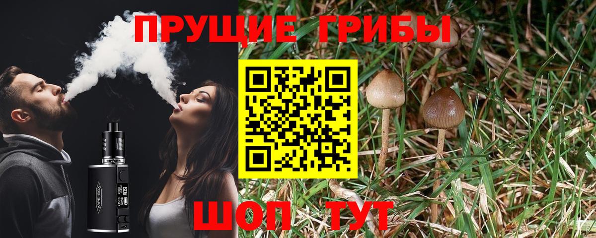 Галлюциногенные грибы Psilocybine cubensis  Вход с VPN  Усть-Илимск 